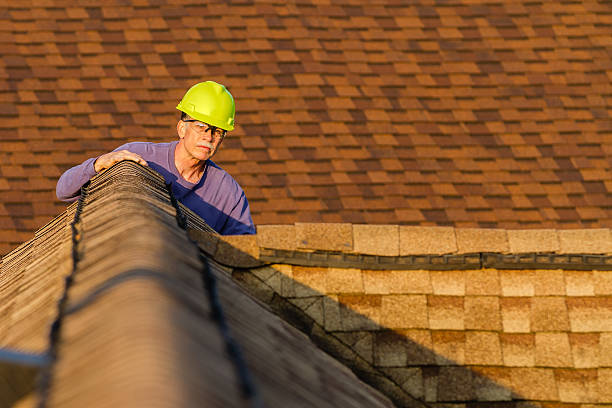 Best Storm Damage Roof Repair  in Williamsburg, PA